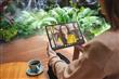 Tablet TCL NXTPAPER 14" 256/8GB Gray + Flipcase